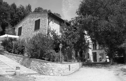 Il renaiolo - Foto 42