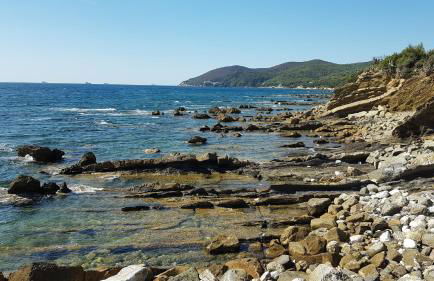 Residence GambAleotto - Foto 53