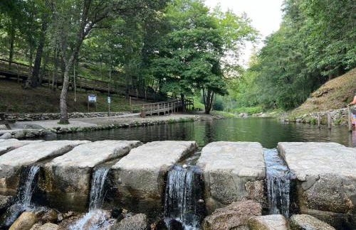 Senhora da Estrela AL - Foto 39