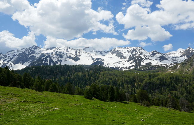 Rustico Dolomia - Foto 13