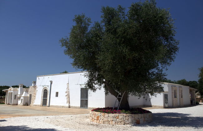 Trulli Itaka - Foto 60