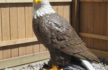 The Blue Haven at Conneaut Lake - Foto 24