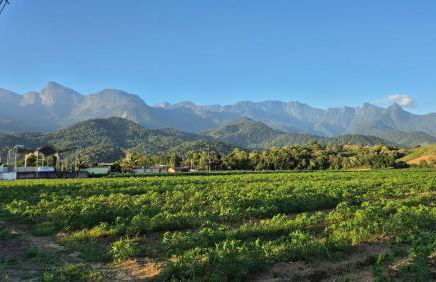 Natureza Loft - Foto 37