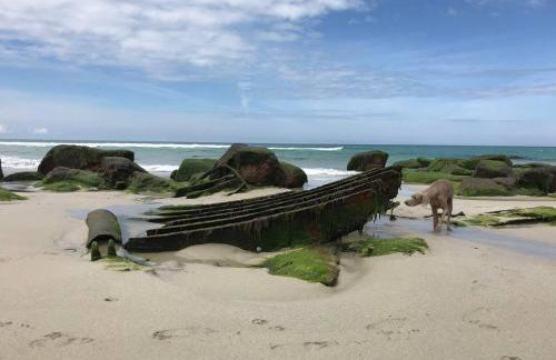 The Wallow - Photo 25