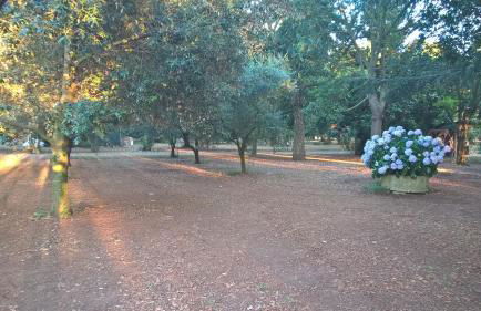 Agriturismo La Giannottola - Foto 27