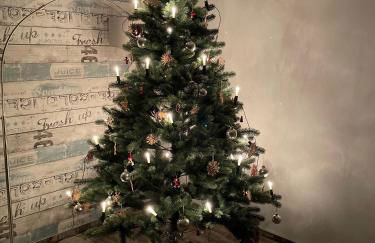 Zum Geigenmüller - Foto 15