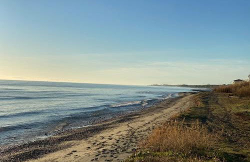 Residence Santa Lucia, studio avec piscine , vue mer et pied dans l'eau , Moriani-Plage - Foto 38