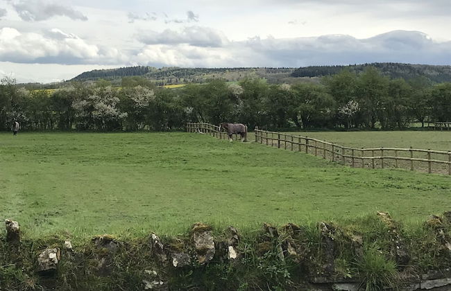 Lower Buckton Country House - Sleeps 12 - Foto 33