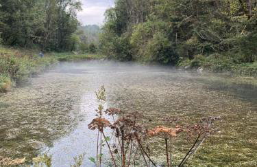 The Forge - Photo 30