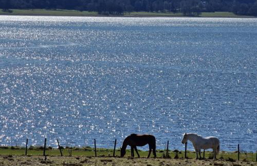 Dalrigh Pod - Photo 28