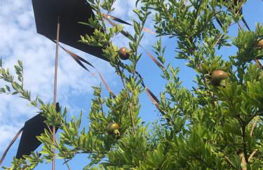 Casa Karina Sun&Pool&Relax - Foto 46