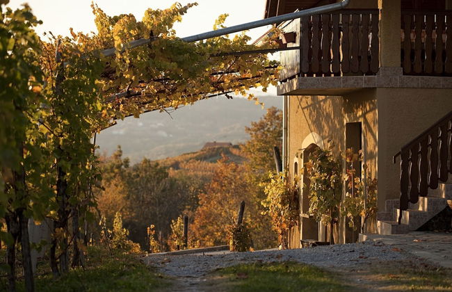 Vineyard Cottage Brodaric - Foto 13