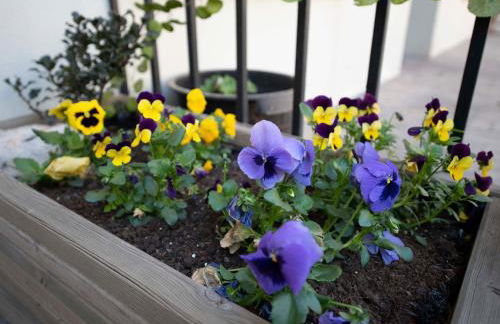 Espacios Blanco Plaza del Viejo Coso - Foto 7