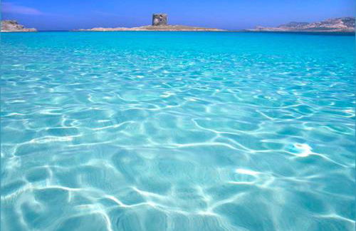 Stintino Appartamento Country Bagaglino - Anna - - Foto 1