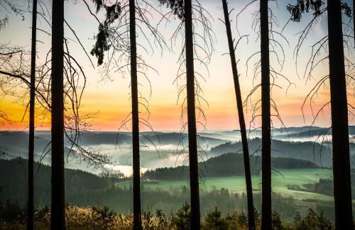 Glückshütte - Foto 21