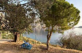 The traditional house-Skalia,kalymnos - Foto 31