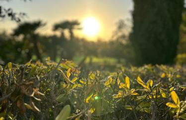 Villa Serenità - Foto 57