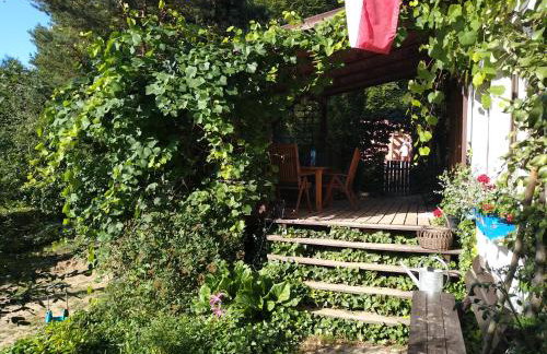 Birchy Hills - Foto 29