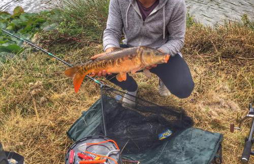 Daweswood - Luxury cottage, lake access & hot tub - Foto 28