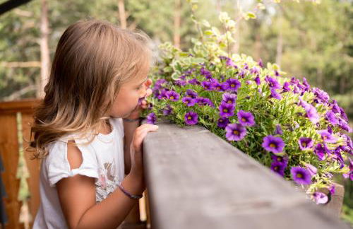 SchartnerAlm - Foto 31