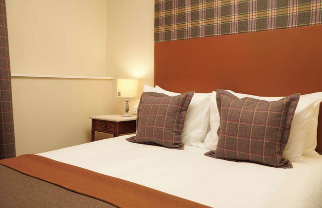 Downright Gabbler - Foto 5