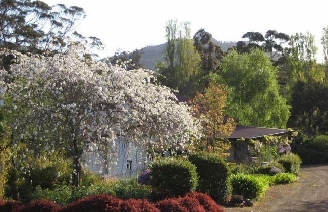 Karribank - Photo 53