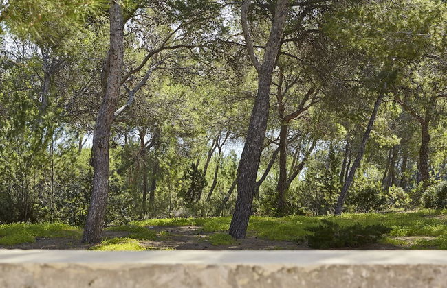 Villa Es Raig Ibiza - Photo 38