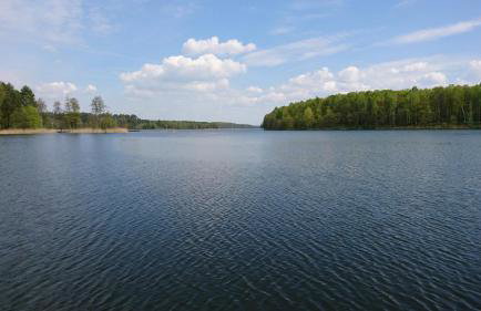 Domek letniskowy SZWED-POL - Foto 19