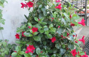 CrossARTig - Foto 31