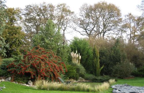 Peach Cottage - Foto 11