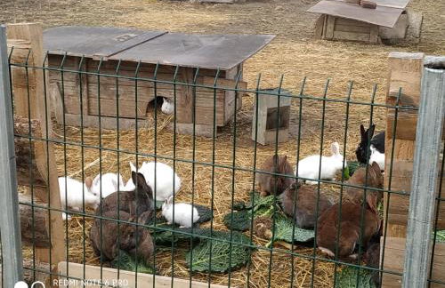 Gîte à la ferme - Foto 7