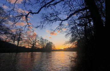 Bunroy Park - Foto 53