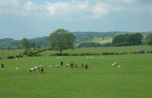 Burrow Meadows - Foto 9