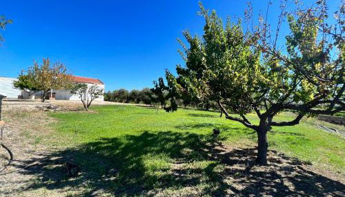 Villino in Campagna con Piscina Relax - La Casa di Teresa - Photo 5, Garden