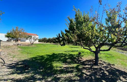 Villino in Campagna con Piscina Relax - La Casa di Teresa - Photo 5