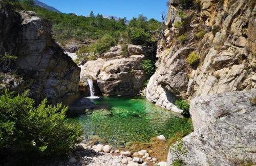 Un petit paradis - Foto 20