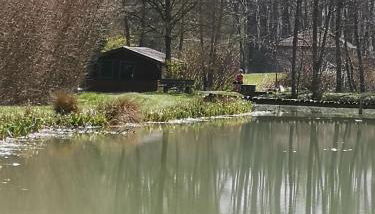 Ferienwohnung Alte Linde - Foto 3