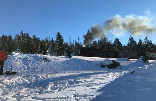 Ferienhaus Kirchturmblick bei Quedlinburg - Foto 11