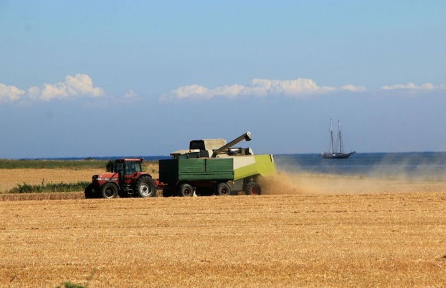 Holiday Home Lilly Comfortable Vacation Home - Foto 15