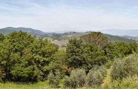 Podere La Casuccia - Foto 32