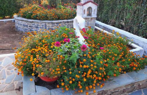 EVIA RIVIERA - Photo 62