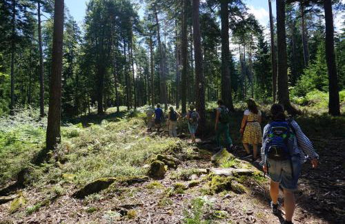 Haus Hubertus - Photo 16