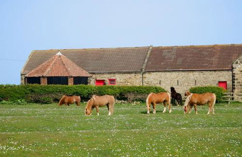 Brier Dene Middle Cottage - Foto 19