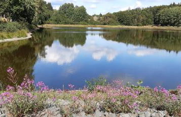 Harzquartier - Foto 57