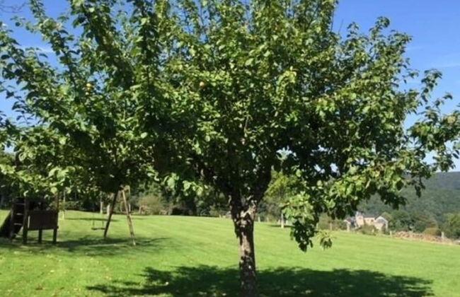 Spacious Villa Near Lesse - Photo 27