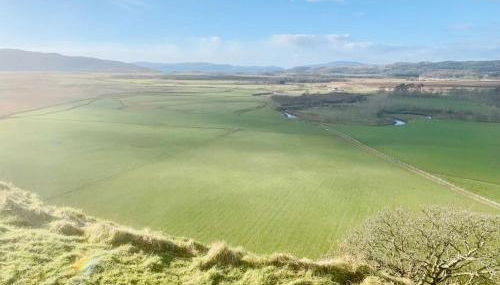 The Pod Over By - Foto 5