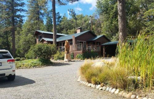 Uncle Grizz's Cabin...get intouch with nature - Foto 22