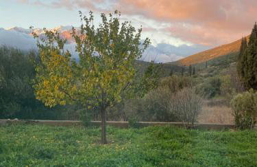 Stellas guesthouse near Arachova - Foto 37