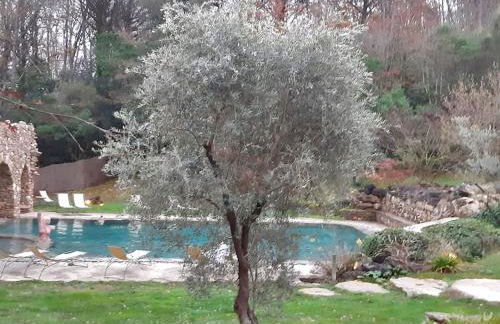 gite Da Clara - Foto 57