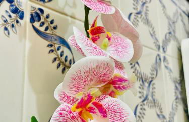 Casa de Sintra - Foto 32